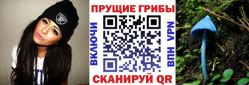 Купить закладки  Орехово-Зуево  Галлюциногенные грибы MAGIC MUSHROOMS 